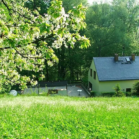 Prázdninový dům Ferienhaus-elisabeth Bungalow-tom Bungalow-peter Reinhardtsdorf-Schona