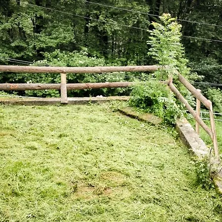 Ferienhaus-elisabeth Bungalow-tom Bungalow-peter *