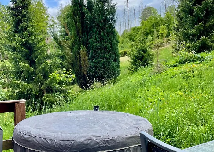 Waldidyll & Spa - Auszeit In Der Saechsischen Schweiz 펜션 Reinhardtsdorf-Schona